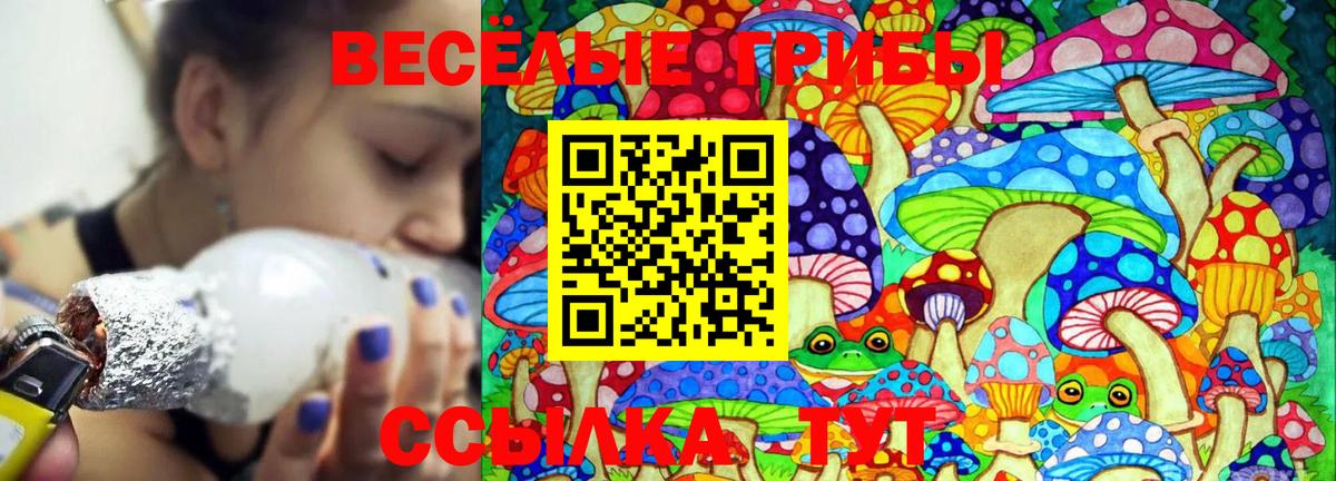 Галлюциногенные грибы Cubensis  Вход с VPN  Алейск 